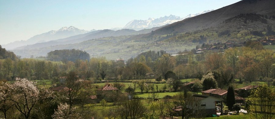 Huerta San Benito. Entorno magnfico